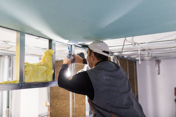 Types of Insulation We Offer in Sulphur, LA
