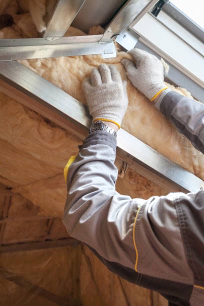 Best Residential Insulation in Sulphur, LA