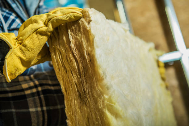 Professional Insulation Contractor in Sulphur, LA