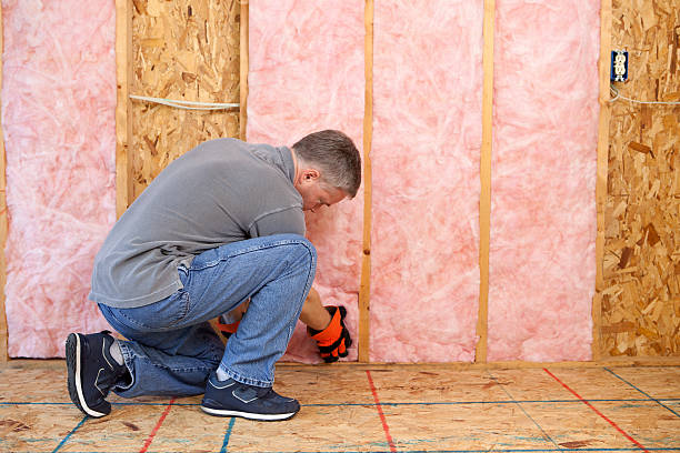 Best Blown-in Insulation in Sulphur, LA